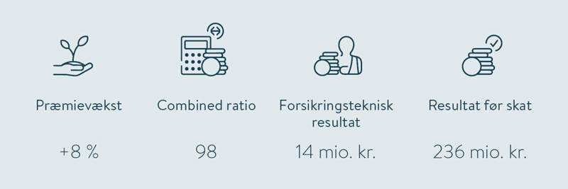 Udvalgte nøgletal (koncernselskab)