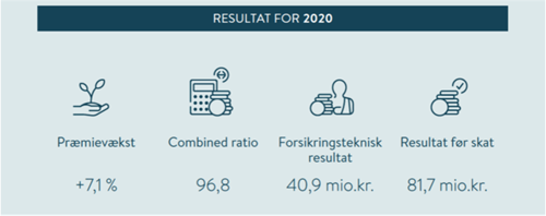 Resultat for 2020